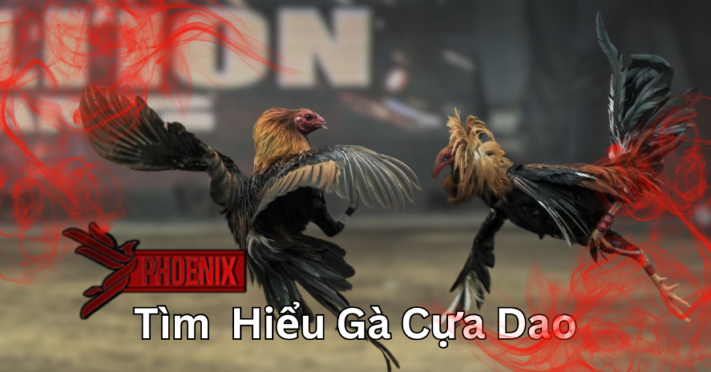 phoenix-ga-cua-dao