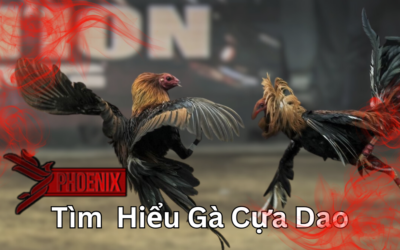 phoenix-ga-cua-dao