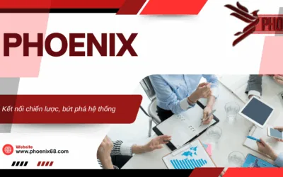 dich-vu-quan-ly-he-thong-giai-phap-quan-ly-toan-dien