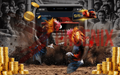 Cockfight